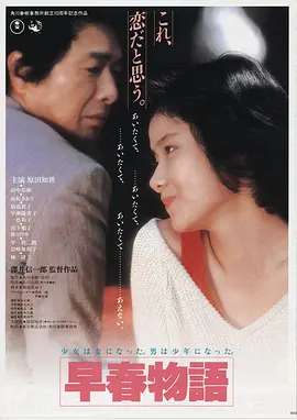 雾港迷踪